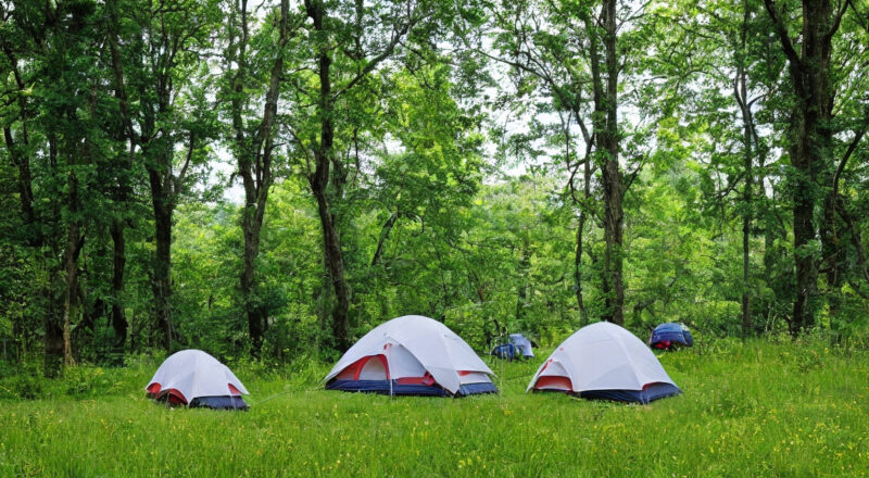 Travellifes insektgardin: Din ultimative løsning mod insektplager på campingturen